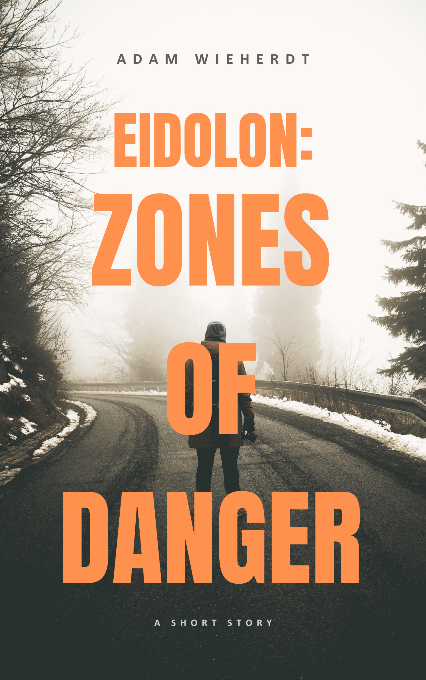 Eidolon: Zones of Danger Poster